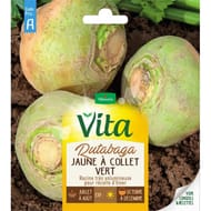 Vita Vilmorin rutabaga collet vert