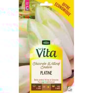 Vita Vilmorin chicoree witloof eco