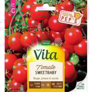 Vita Vilmorin tomate sweet baby