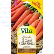 Vita Vilmorin carotte de colmar 2 eco