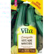 Vita Vilmorin courgette verte noire maraichere eco