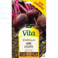 Vita Vilmorin betterave noire egypte eco