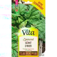 Vita Vilmorin epinard geant hiver eco