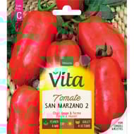 Vita Vilmorin tomate san marzano 2