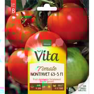 Vita Vilmorin tomate monfavet