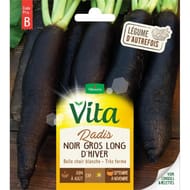 Vita Vilmorin radis noir long hiver