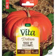 Vita Vilmorin potiron rouge vif etampes