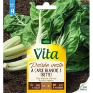 Vita Vilmorin poiree verte carde blanc 3