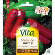 Vita Vilmorin poivron lamuyo hf1