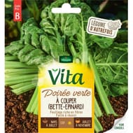 Vita Vilmorin poiree verte a couper