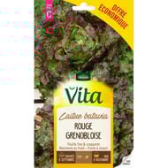 Vita Vilmorin laitue batavia rouge grenobloise eco