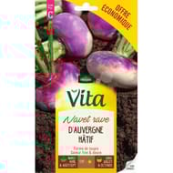 Vita Vilmorin navet auvergne hatif eco