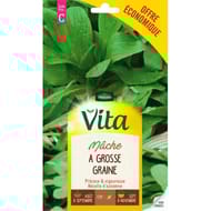 Vita Vilmorin mache grosse graine eco