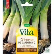 Vita Vilmorin poireau carentan 2