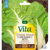 Vita Vilmorin poiree blonde carde blanc 2