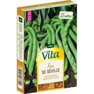 Vita Vilmorin feve seville