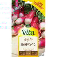 Vita Vilmorin radis flamboyant 5 eco