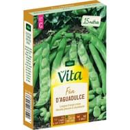 Vita Vilmorin feve aguadulce lg cosse