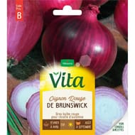 Vita Vilmorin oignon rouge brunswick