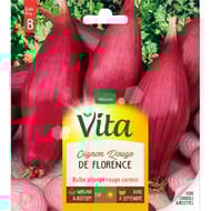 Vita Vilmorin oignon rouge florence