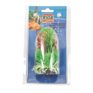 Riga - Aquaplante petit modèle