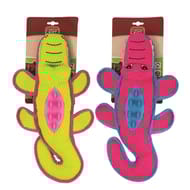 Riga flashycroc