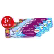 Sacs congelation 4 x 25 double zip petit modele nf