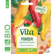 Vita vilmorin poivron couleurs bio