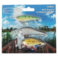 Kit 3 poissons nageurs carnassiers