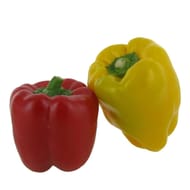 Poivron bio bicolore 2 fruits