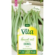 Vita Vilmorin haricots oxinel