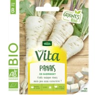 Vita Vilmorin panais de guernesey bio