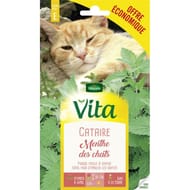 Vita Vilmorin herbe a chat cataire eco