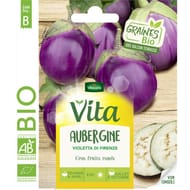 Vita Vilmorin aubergine violette de Florence bio