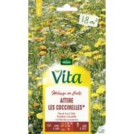 Vita Vilmorin mélange attire les coccinelles 8m2