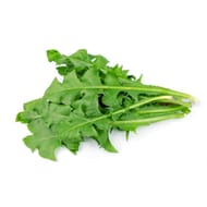 Pissenlit vert