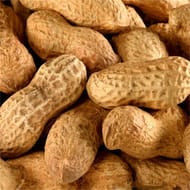 Juste bio cacahuètes coques bio