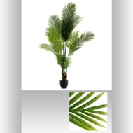 Plante artificielle palmier  h170cm