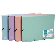 Exacompta trieur pochette avec élastique 12 compartiments carte blush assoti