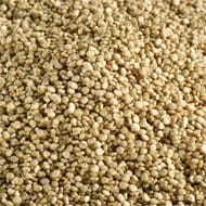 Juste bio quinoa blanc bio