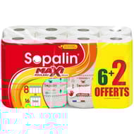 Sopalin essuie tout sur mesure décoré 6+2