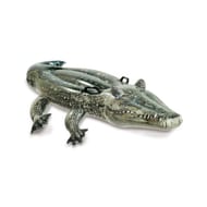 Alligator à chevaucher