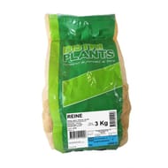 Pomme de terre variété verbag reine 3 kg