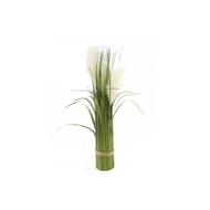 Bouquet 3 pampas 61cm