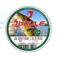 Nylon vert truite/perche 250m 20/100 dudule