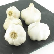 Ail blanc