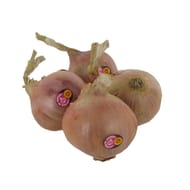 Oignon rose de roscoff le kilo