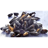 Moule de bouchot 1.4kg