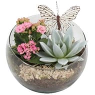 Composition geode - verre boule - 1 pic boule rotin - 1 pic design
