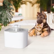 Idomya fontaine à eau pour animaux 2L